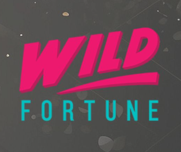 Wild Fortune Casino – dynamiczne kasyno online dla polskich graczy